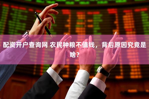 配资开户查询网 农民种粮不值钱，背后原因究竟是啥？