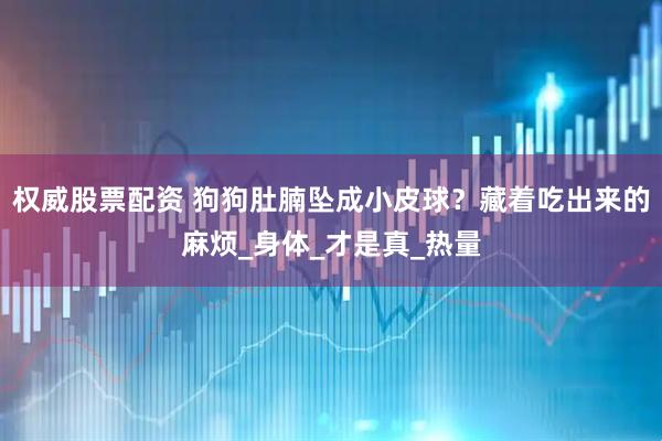 权威股票配资 狗狗肚腩坠成小皮球？藏着吃出来的麻烦_身体_才是真_热量